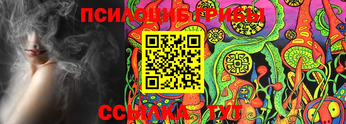 Псилоцибиновые грибы MAGIC MUSHROOMS Череповец